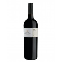 Quinta de Ventozelo Oaked Syrah 2019 Red Wine