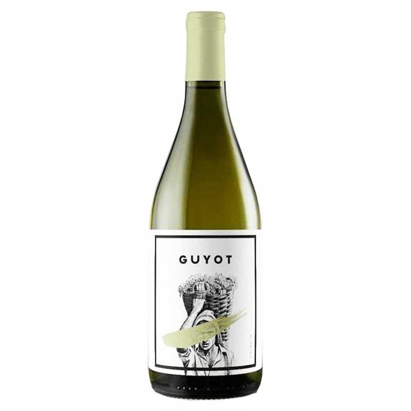 Bílé víno Guyot 2018 Bílé víno Guyot 2018