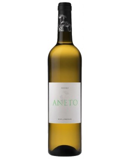 Aneto 2019 White Wine