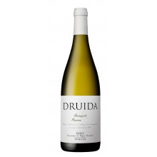 Druida Encruzado Reserva 2019 White Wine