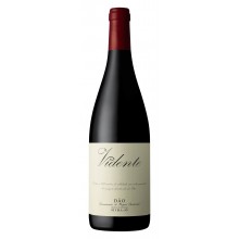 Vidente 2017 Red Wine|Winefromportugal