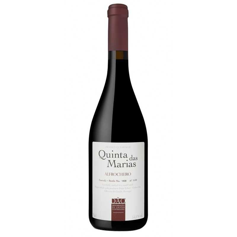 Quinta das Marias Alfrocheiro 2019 Rotwein|Winefromportugal