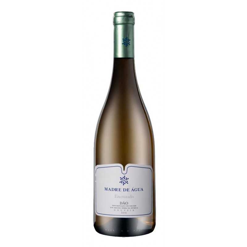 Madre de Água Encruzado 2016 White Wine Madre de Água Encruzado 2016 White Wine