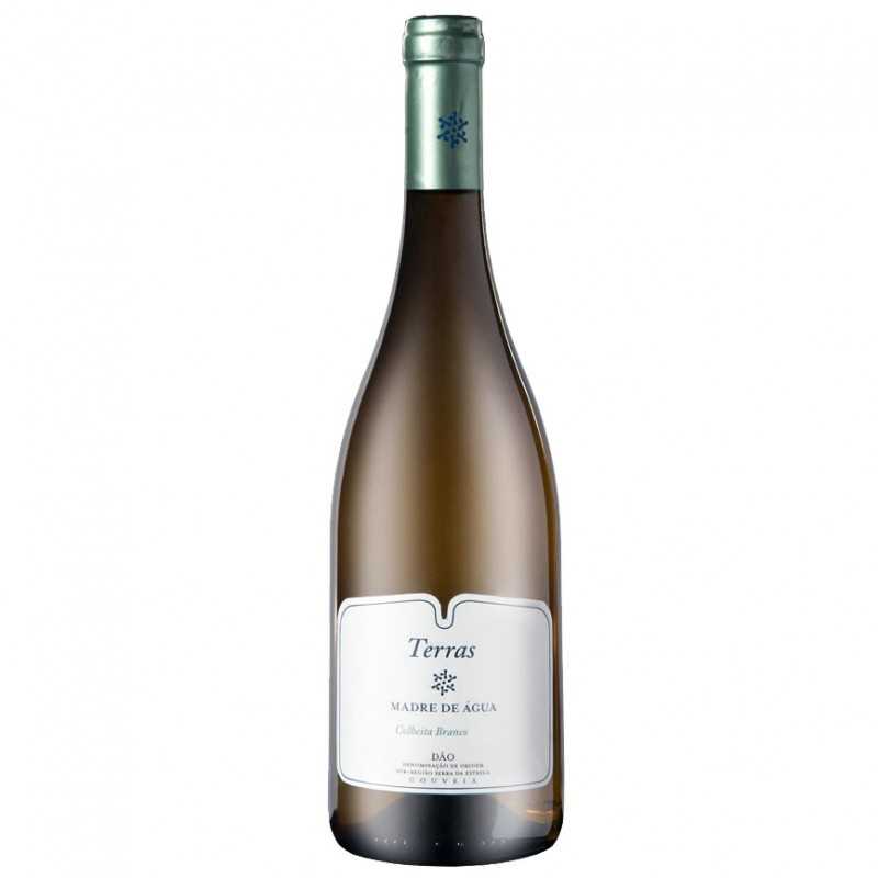 Terras Madre de Água 2019 White Wine