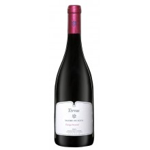 Dão Wines|Winefromportugal