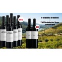 Kampagne Quinta de Valbom Red Wine + Herdade Dos Grous Red Wine|Winefromportugal