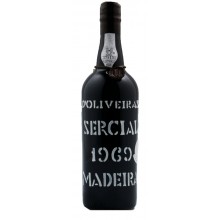 Madeira Wines - Bedste vine|Winefromportugal