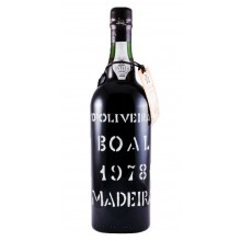 Madeira Weine - Beste Weine|Winefromportugal