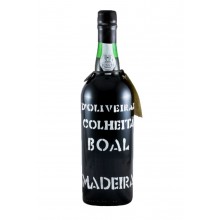 Madeira Weine - Beste Weine|Winefromportugal