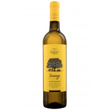 Alentejo viinit|Winefromportugal