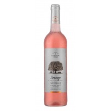 Alentejo viinit|Winefromportugal