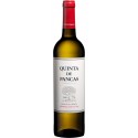 Quinta de Pancas 2020 Bílé víno|Winefromportugal