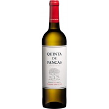 Quinta de Pancas 2020 White Wine