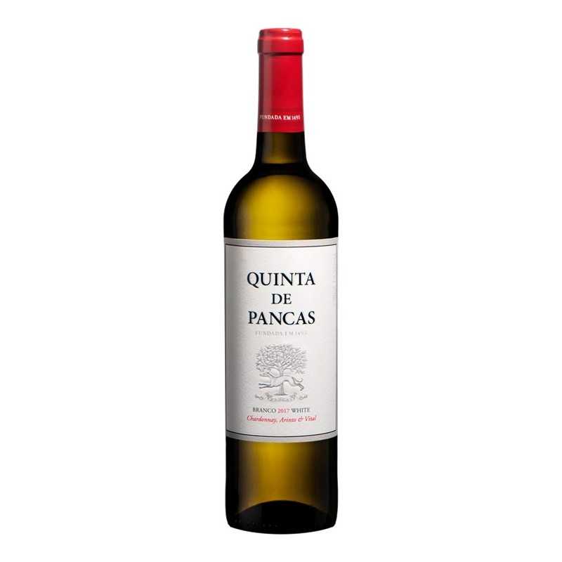 Quinta de Pancas 2020 Bílé víno|Winefromportugal