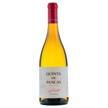 Quinta de Pancas Reserva Arinto 2019 hvidvin|Winefromportugal