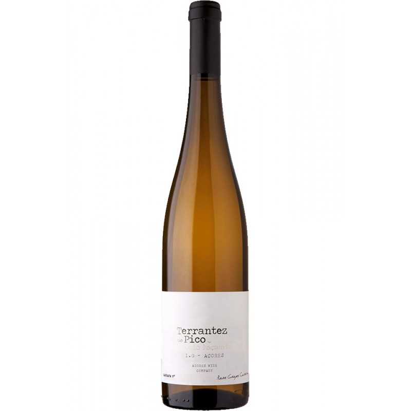 Terrantez do Pico 2019 White Wine Terrantez do Pico 2019 White Wine