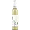 Casabel 2020 Bílé víno