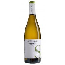 Adega Mãe Sauvignon Blanc 2019 White Wine