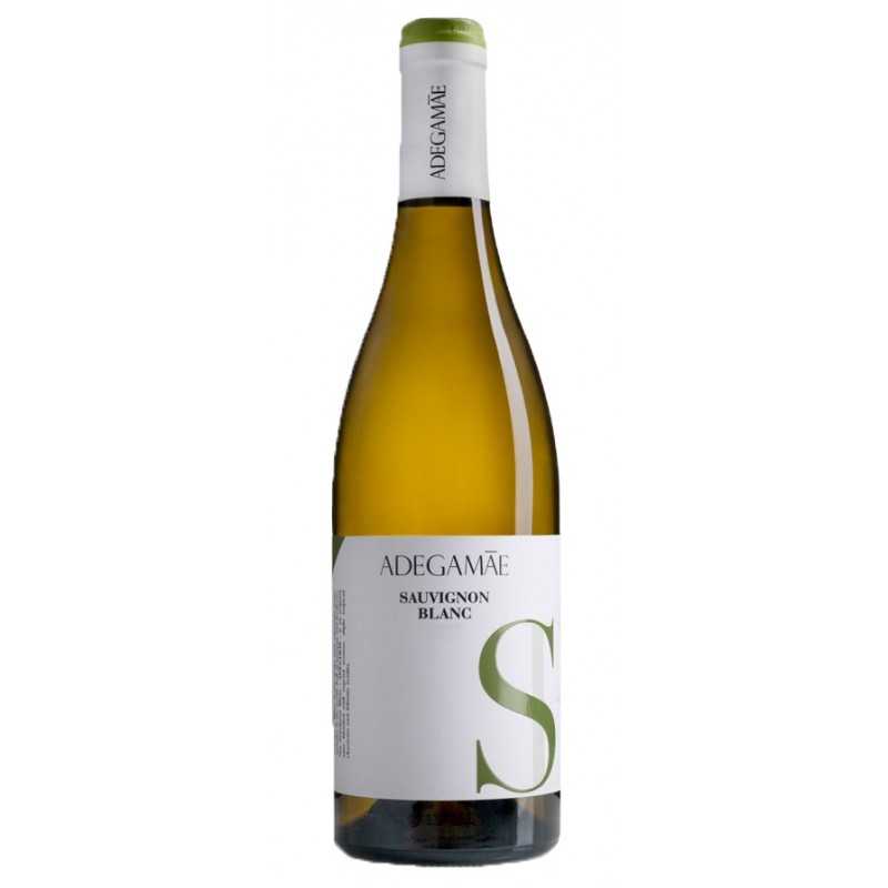 Adega Mãe Sauvignon Blanc 2019 Bílé víno