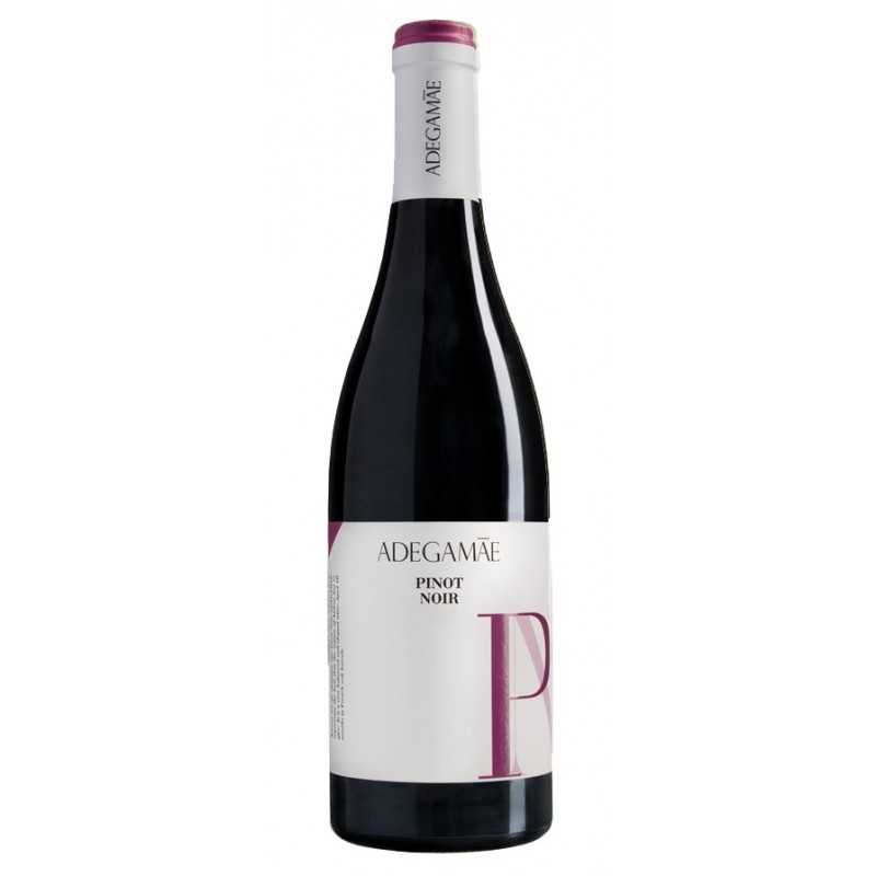 Adega Mãe Pinot Noir 2018 Red Wine|Winefromportugal