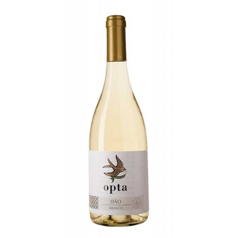 Opta 2019 Bílé víno