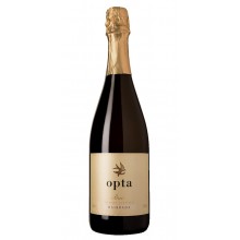 Opta Bruto šumivé bílé víno