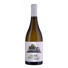 1000 Curvas 2017 White Wine
