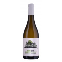 Vinho Verde|Winefromportugal