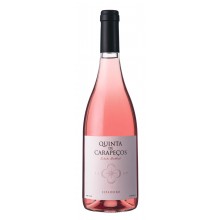 Rose|Winefromportugal