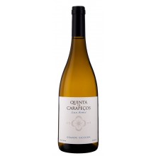 Quinta dos Carapeços Grande Escolha 2019 Bílé víno