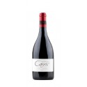 Socalcos da Carris Reserva 2017 rødvin|Winefromportugal