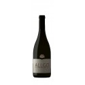 Červené víno Allgo 2017