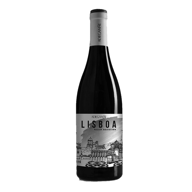 Lisboa Valley 2019 White Wine Lisboa Valley 2019 White Wine
