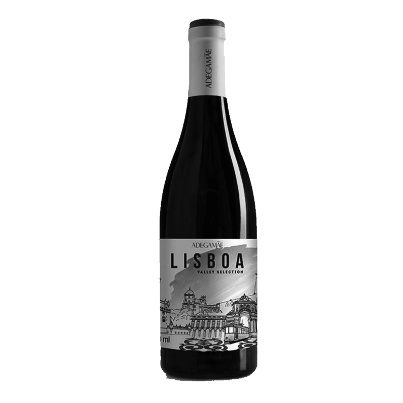 Lisboa Valley 2019 White Wine