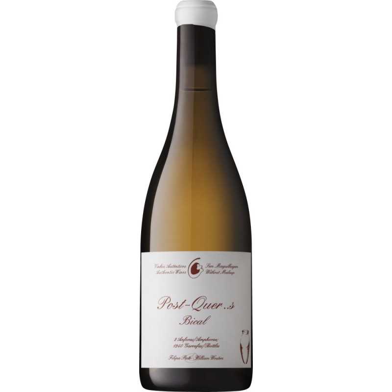 Filipa Pato Post Quercus Bical 2020 White Wine Filipa Pato Post Quercus Bical 2020 White Wine