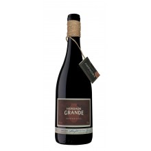 Herdade Grande Amphora 2020 Red Wine