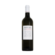 Bairrada Wines|Winefromportugal