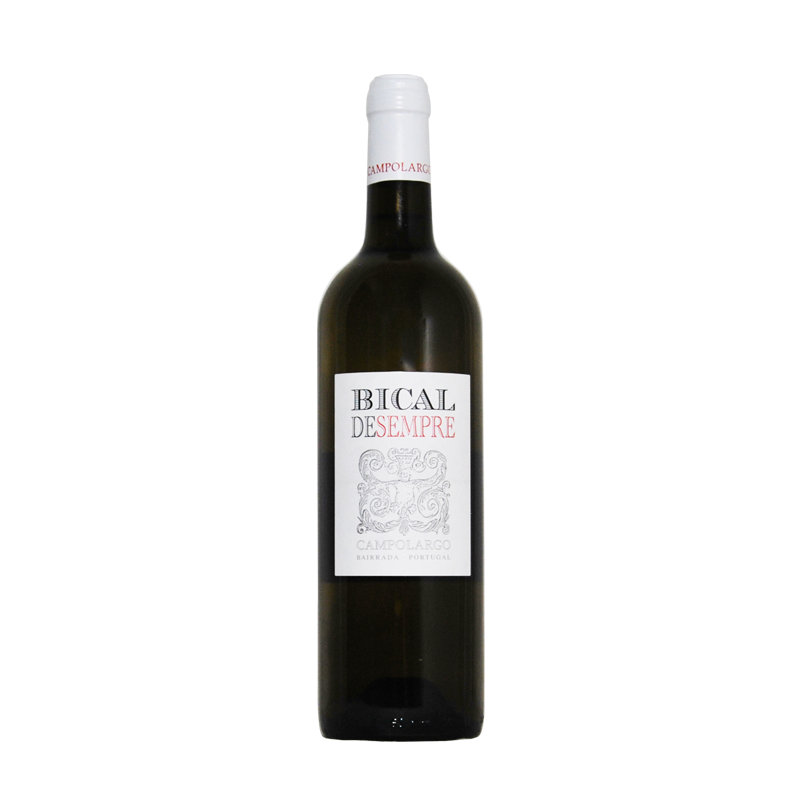 Campolargo Bical de Sempre 2017 White Wine Campolargo Bical de Sempre 2017 White Wine