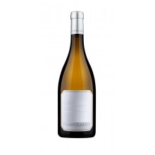 Campolargo Chardonnay 2019 Bílé víno|Winefromportugal