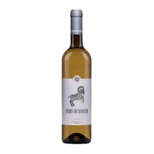 Bílé víno Vinhas do Carneiro 2019