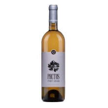 Pactus Pinot Grigio Colheita 2018 hvidvin|Winefromportugal