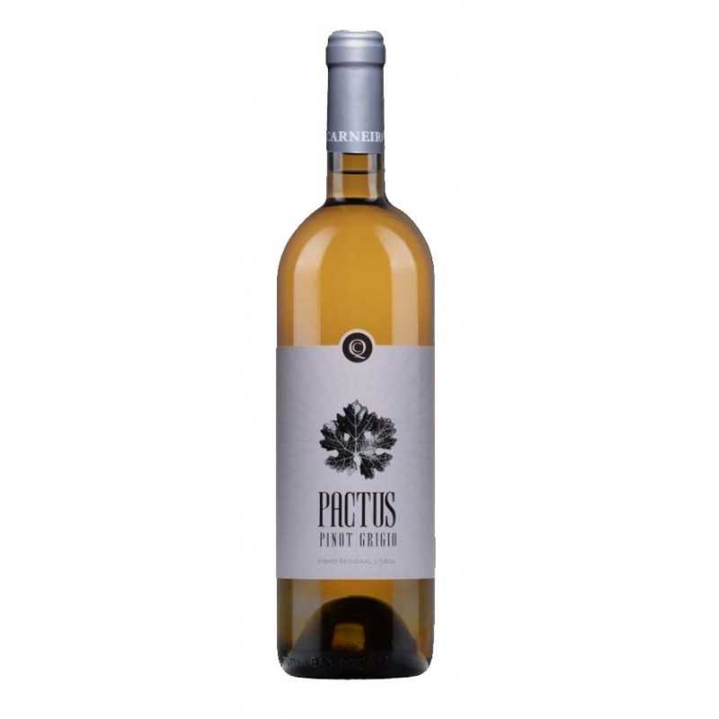 Pactus Pinot Grigio Colheita 2018 White Wine Pactus Pinot Grigio Colheita 2018 White Wine