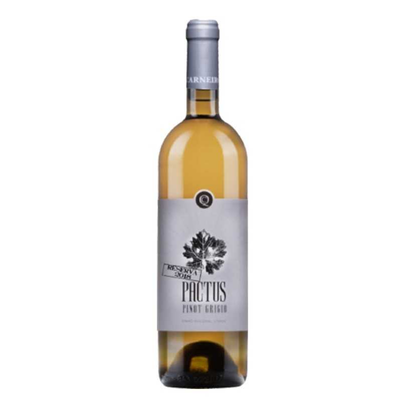 Pactus Pinot Grigio Reserva 2018 Bílé víno