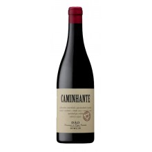 Červené víno Caminhante 2019