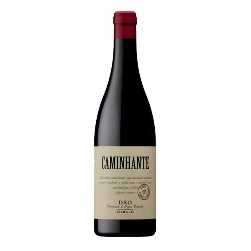 Caminhante 2019 rødvin|Winefromportugal