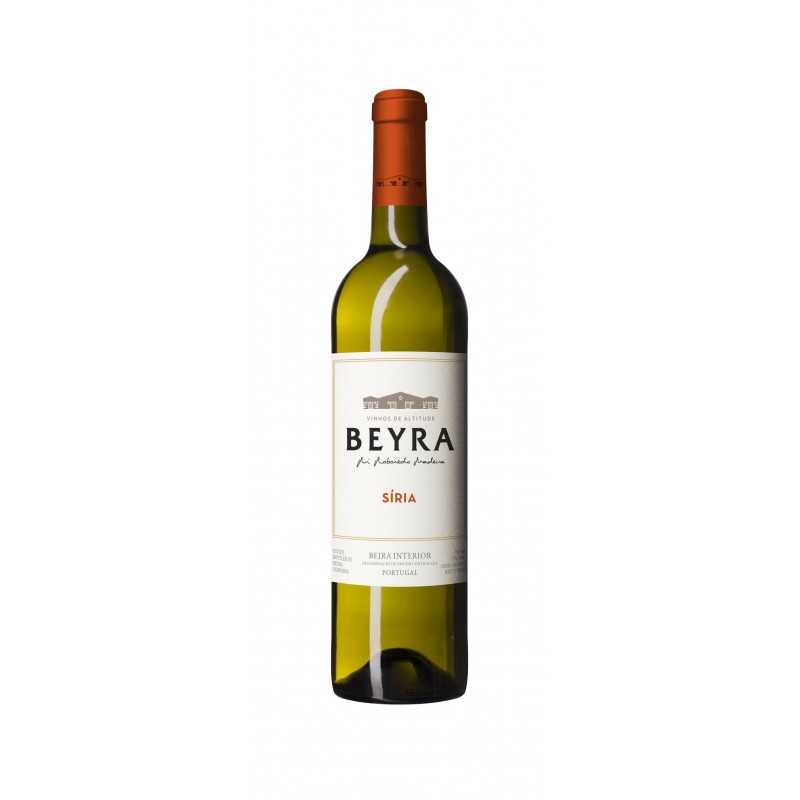 Beyra Síria 2020 hvidvin|Winefromportugal