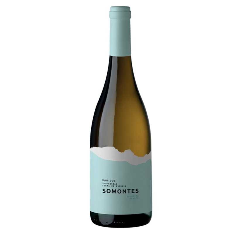 Somontes 2020 hvidvin|Winefromportugal