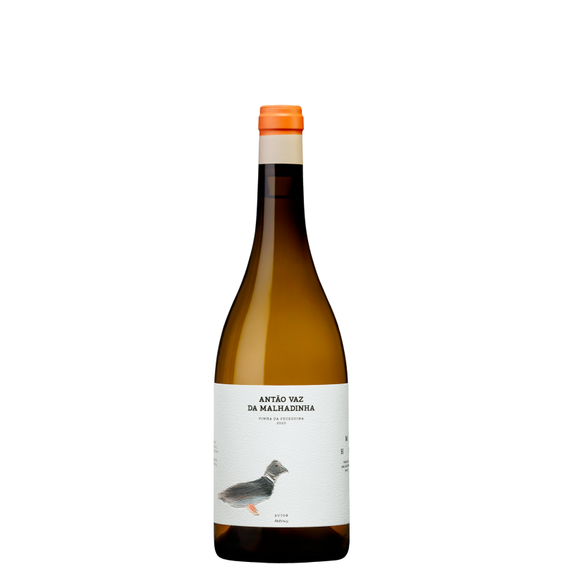 Antão Vaz da Malhadinha - Vinha da Peceguina 2020 Bílé víno