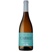 Bílé víno Cabriz Sauvignon Blanc 2019