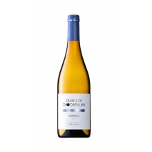 Quinta de Chocapalha Viosinho 2019 Bílé víno